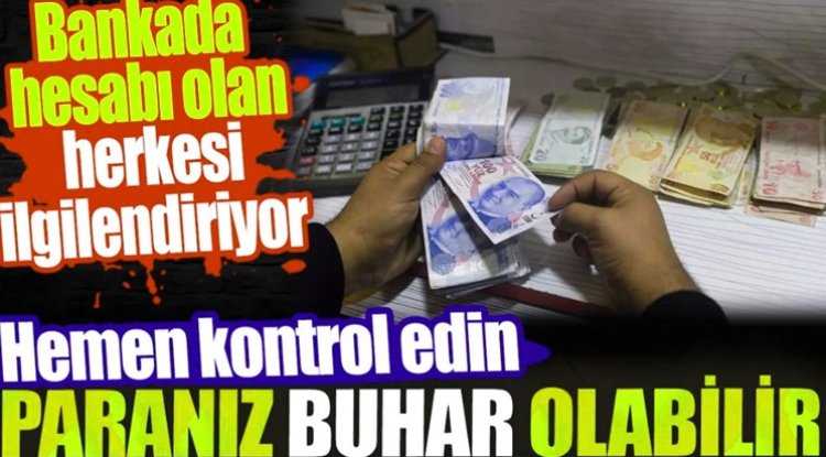 Hareketsiz Olan Hesaplardaki Paralar TMFS'ye Aktarılacak