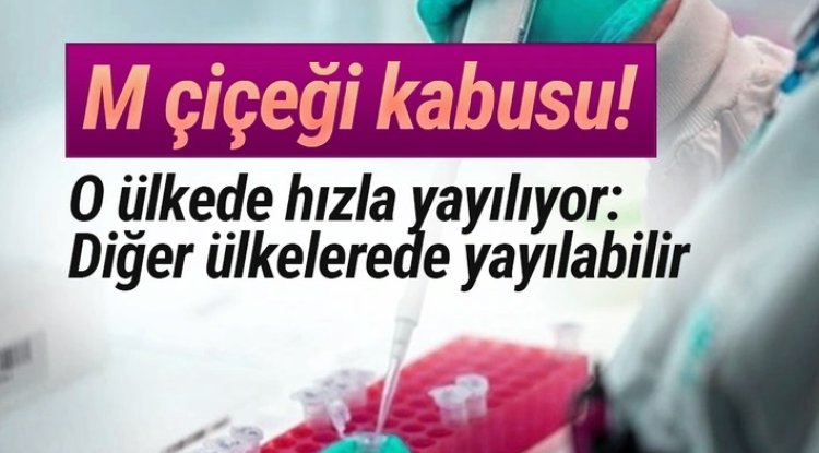 M Çiçeği Salgın Hızla Yayılıyor