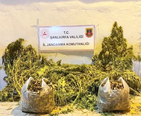Şanlıurfa’da Jandarmadan Uyuşturucu Operasyonu